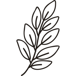 My Skin Care Universe